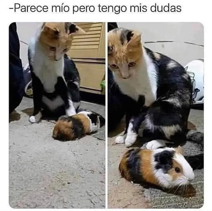 3uxffj.jpg