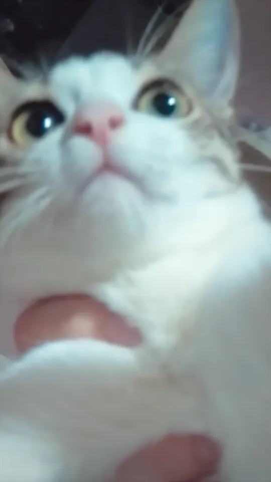 4yro0u.png