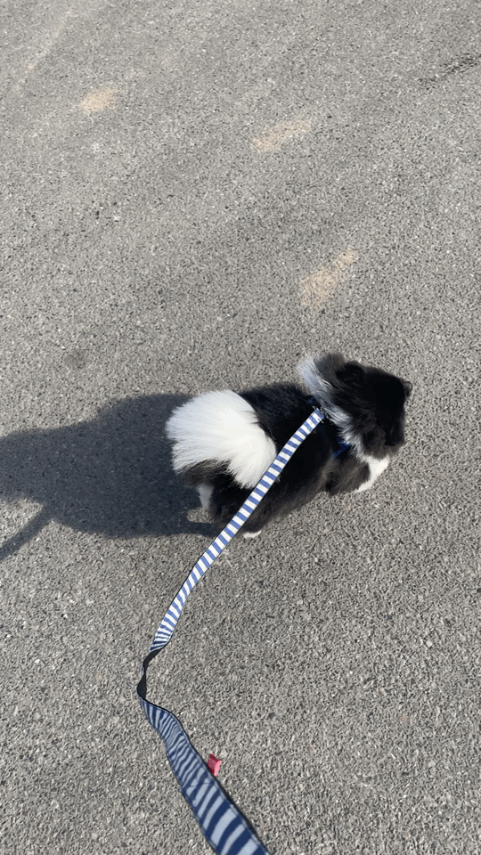 4zlvjm.gif