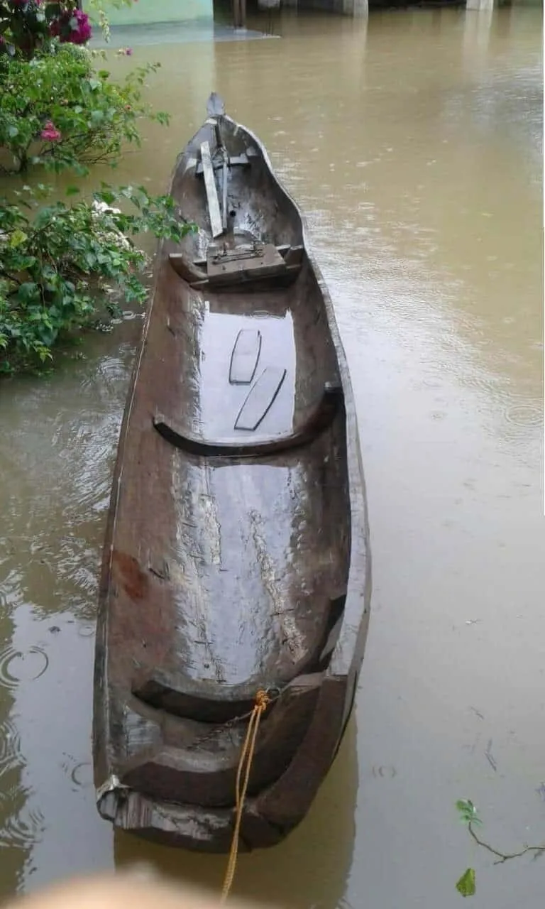 f3rai1.jpg