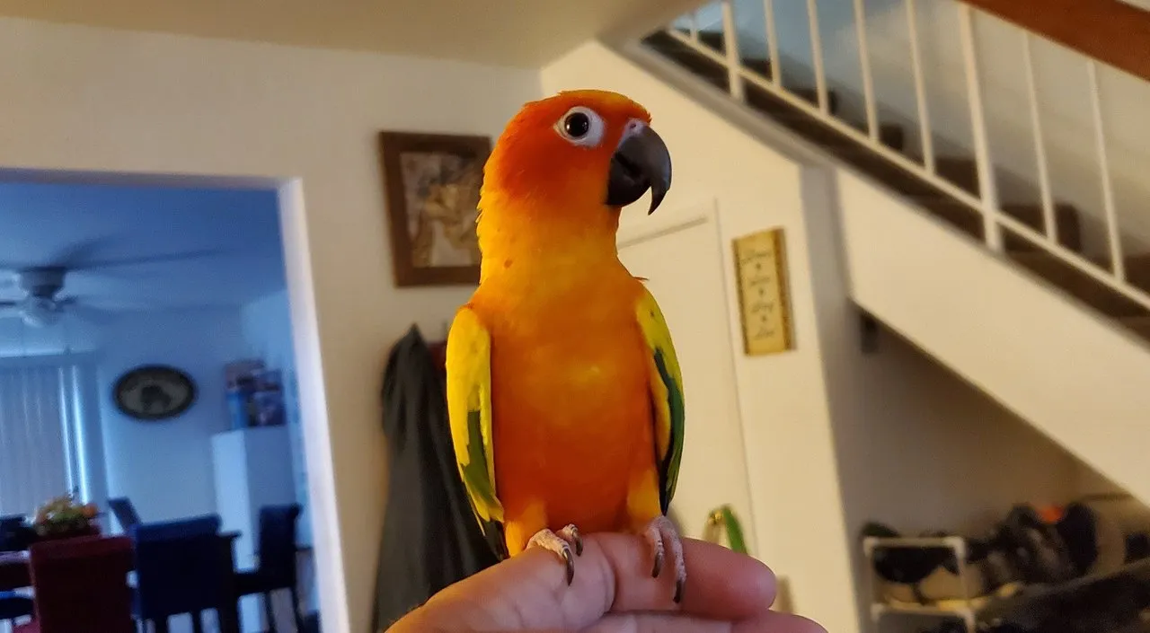 xz2d5p.jpg