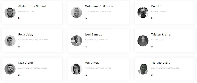 Loligo ICO