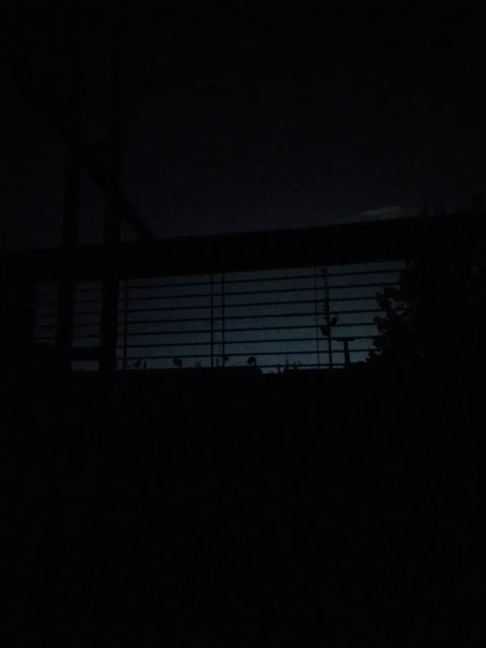 dmDXQeePT1wE8MST_IMG-20241117-WA0013.webp
