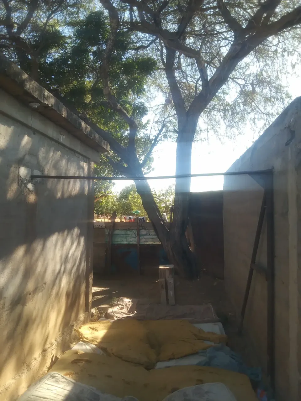 Fh2UYIyKMvnw1Xs3_IMG_20250707_162513.webp