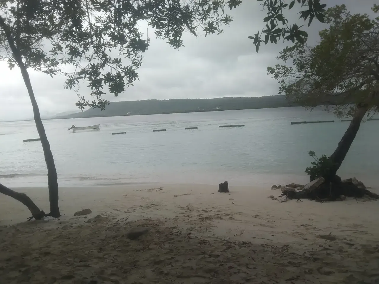 egHuzSclWknWmEjW_IMG_20250426_082755.webp