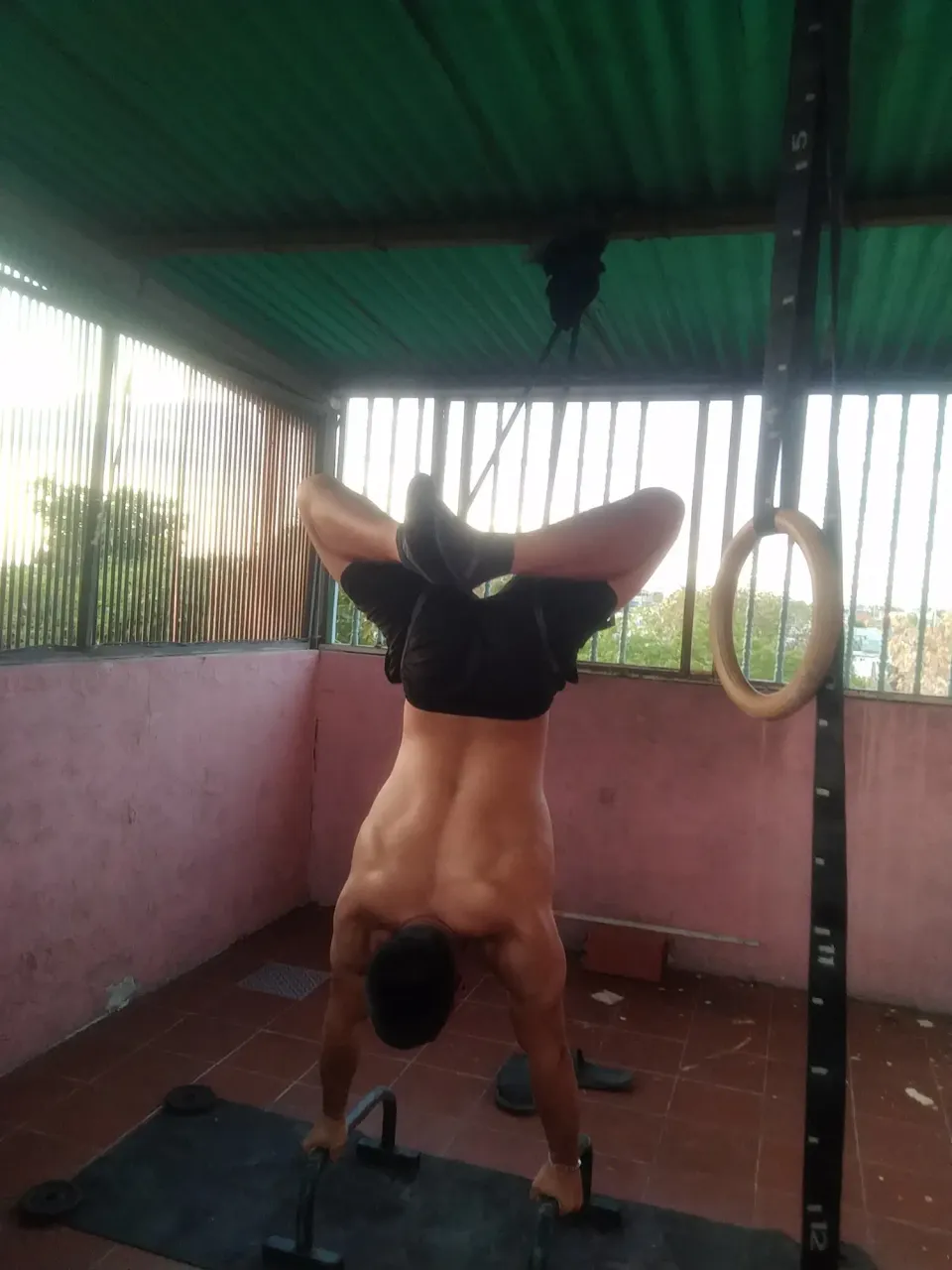 zeDDWJ8XLs5uIiQU_IMG_20250407_183842.webp