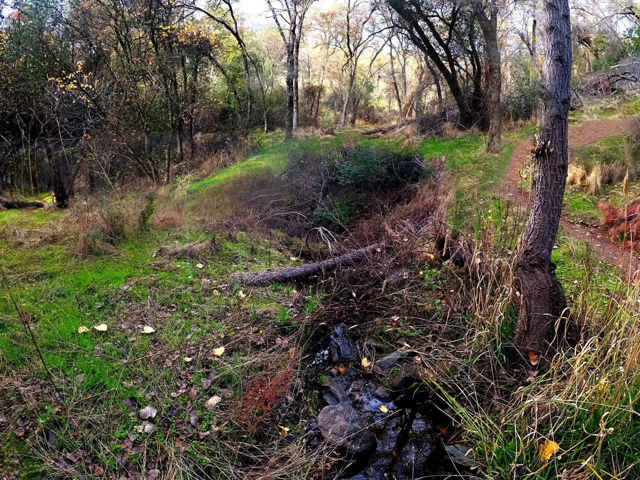 YIAC0449-walking-trails-paths-of-memory-#325.png