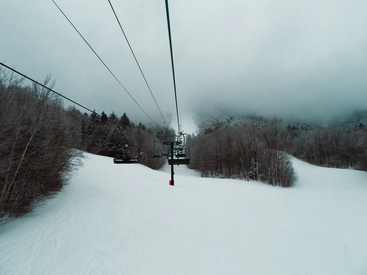 Sean_Gold_April 09, 2019_59834-WebExport.jpg