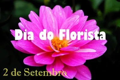 dia-do-florista-mensagens-imagens-e-frases-4.jpg