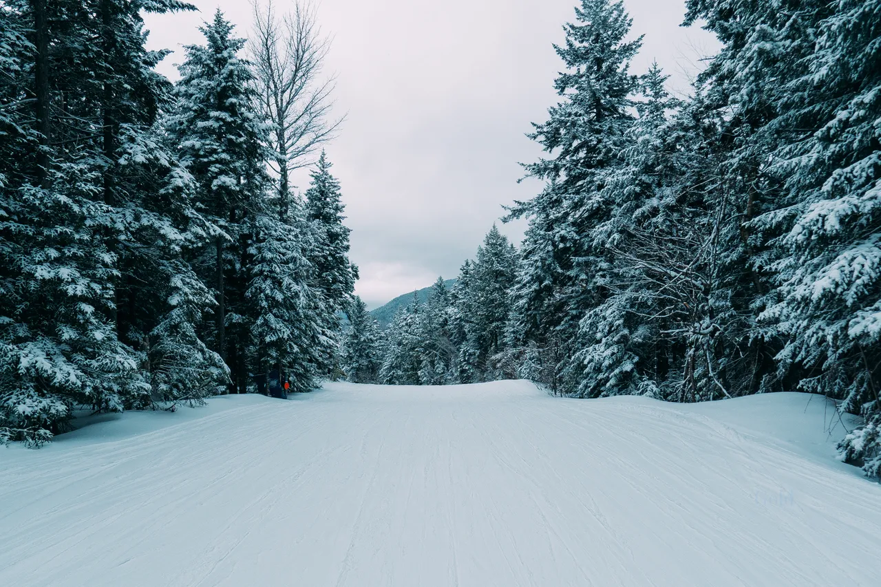 Sean_Gold_April 10, 2019_59872-WebExport.jpg