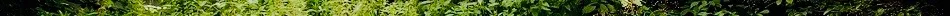 e053268dbfda70342042309b0c9be272-d41kpt2 3.jpg
