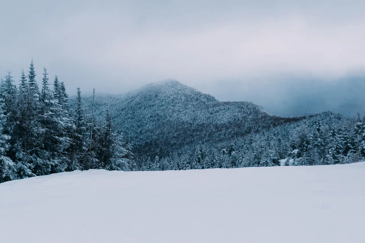 Sean_Gold_April 10, 2019_59859-WebExport.jpg