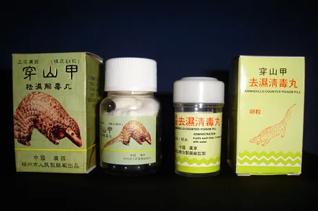 090714-04-pangolins-traditional-medicine_big.jpg