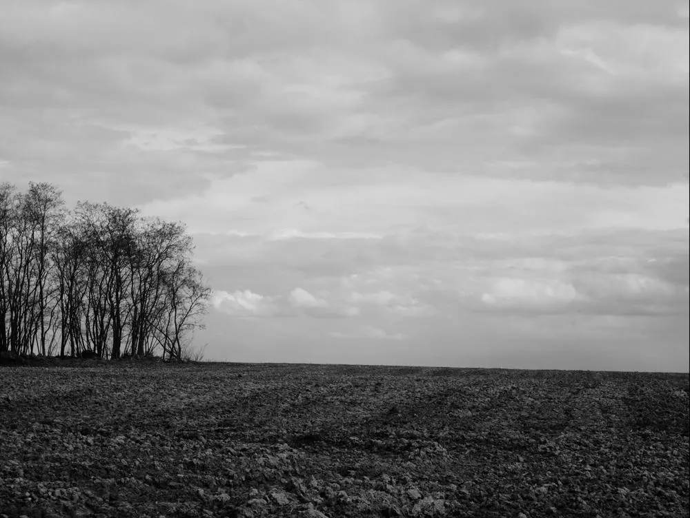 P3263035_1000px.jpg