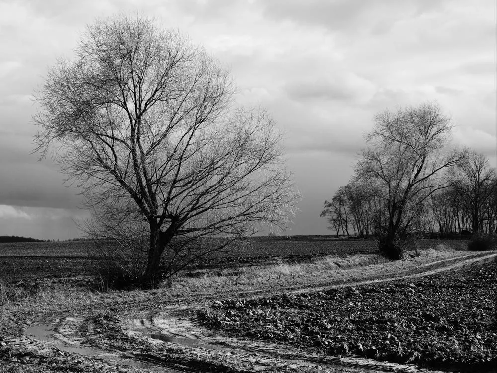 P3263030_01_1000px.jpg