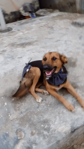 e1487d46-62eb-4501-b9ee-d78dbf7b08dc.gif