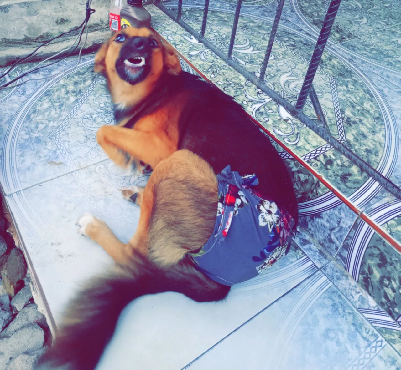 Snapchat-1029647679.jpg