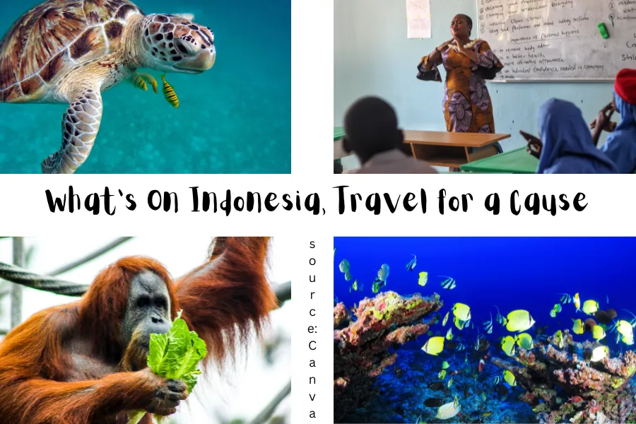 indonesia travel for a cause.png