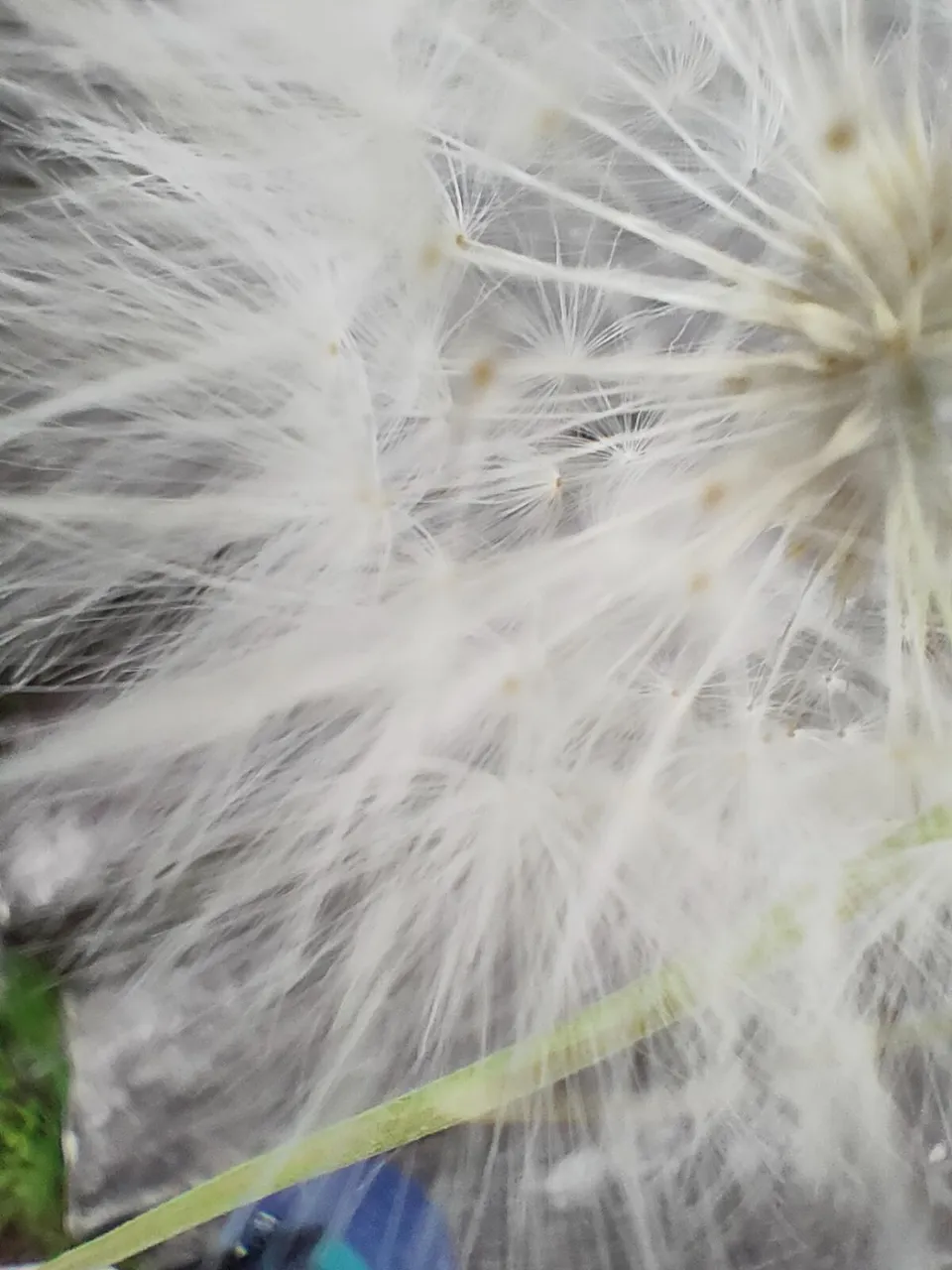 IMG20210811074146.jpg