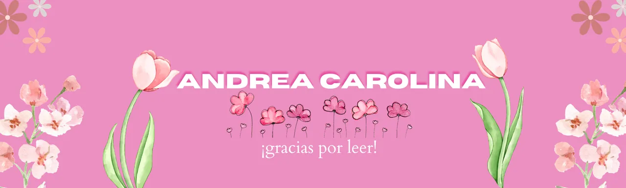 Banner Linkedin Rosa .png