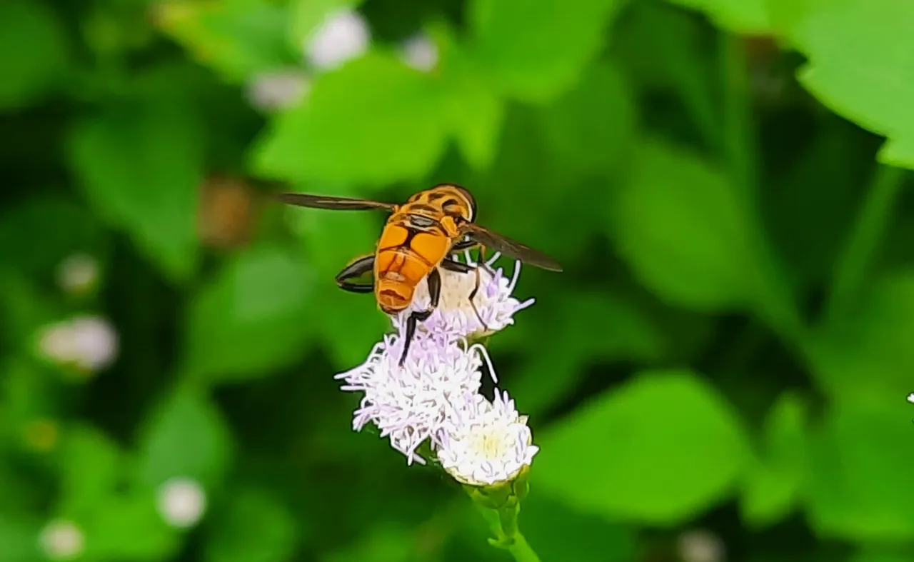 20240615_123349.jpg