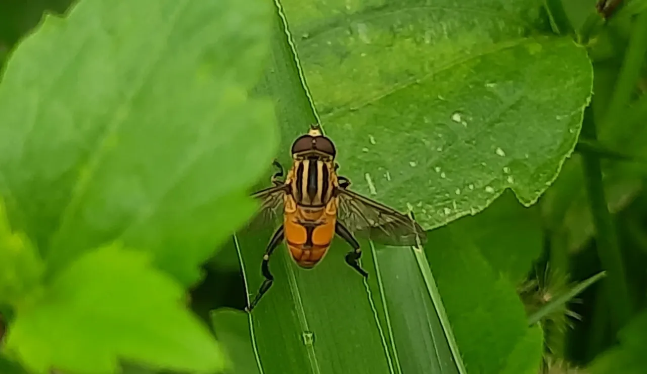 20240615_123308.jpg