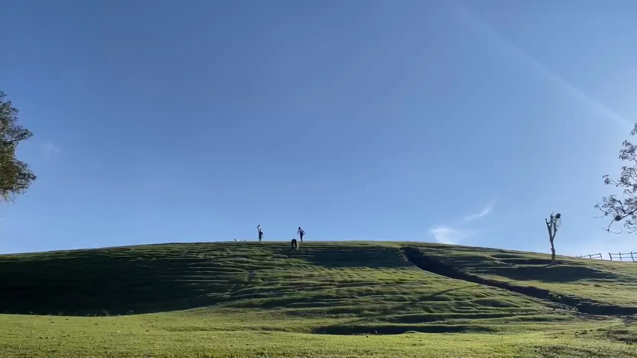 1000239067.jpg