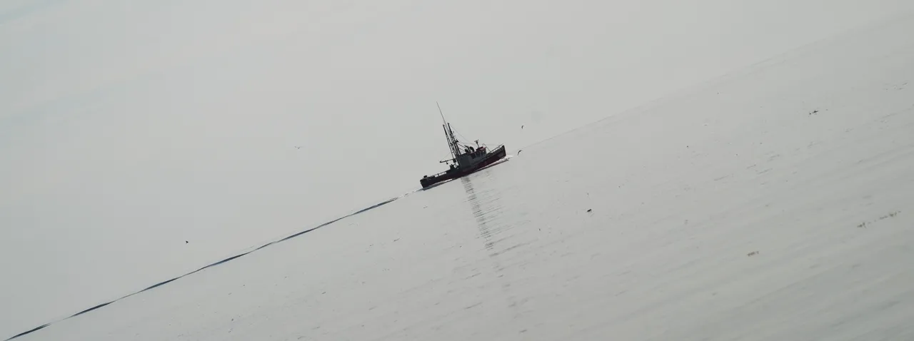 _IGP8109.jpg