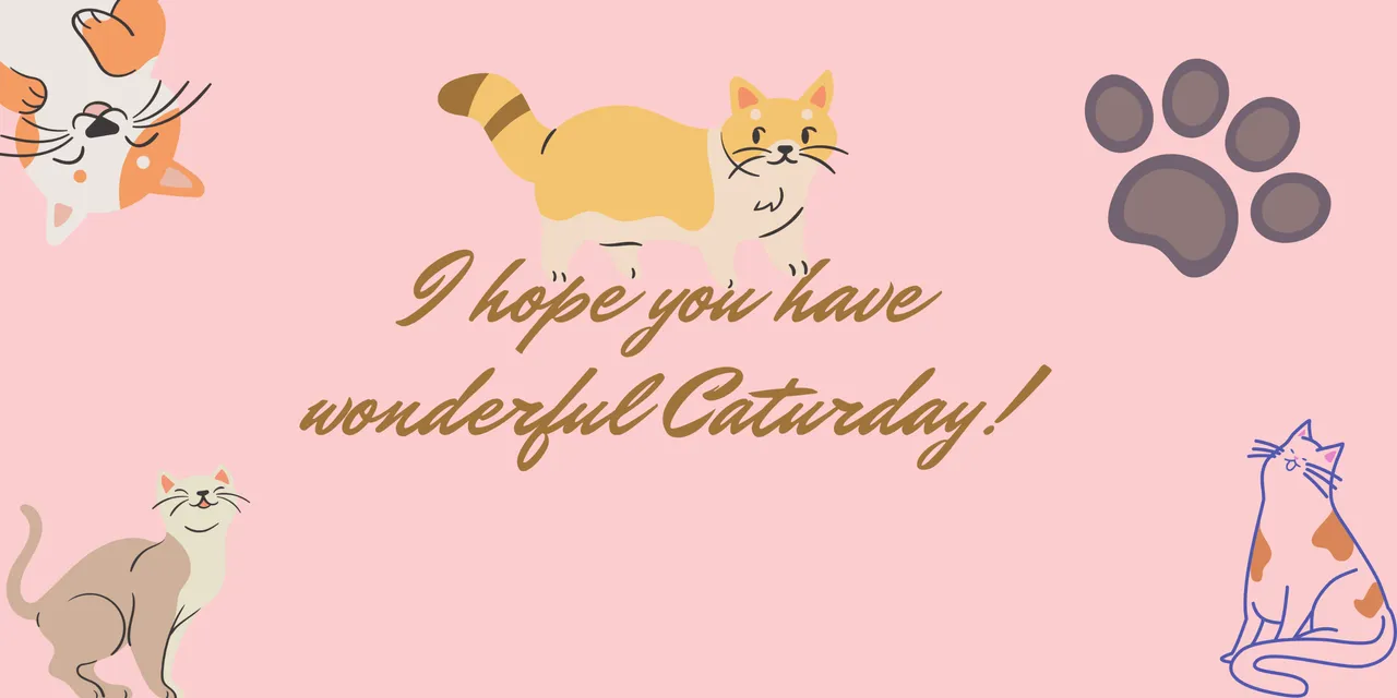 I hope you have wonderful Caturday!.png