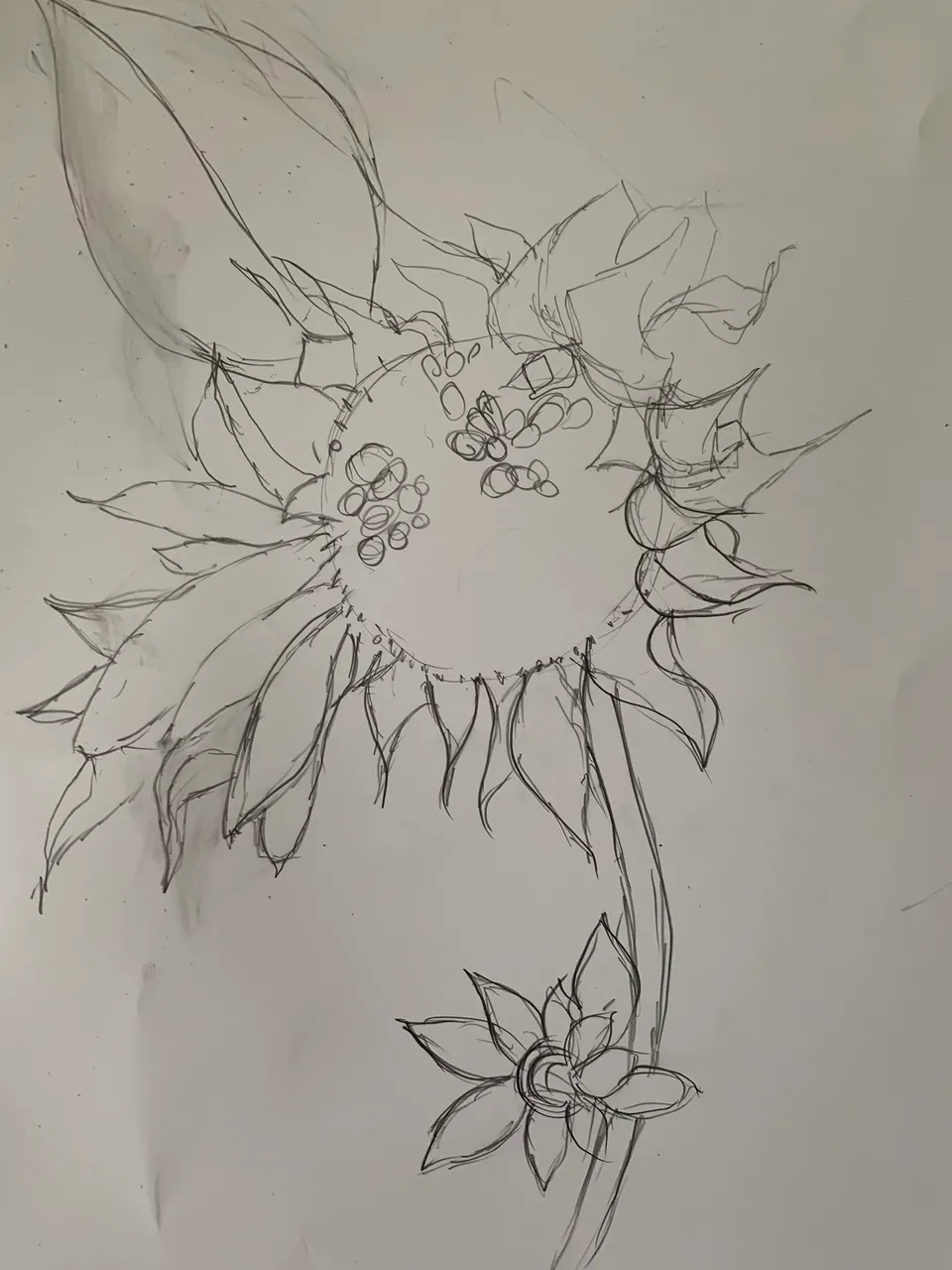 sun1.jpeg