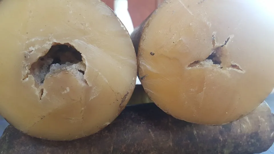 Beeswax2.jpg