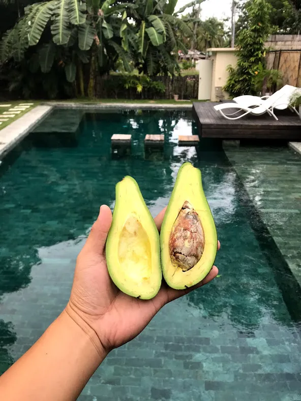 avo.jpeg