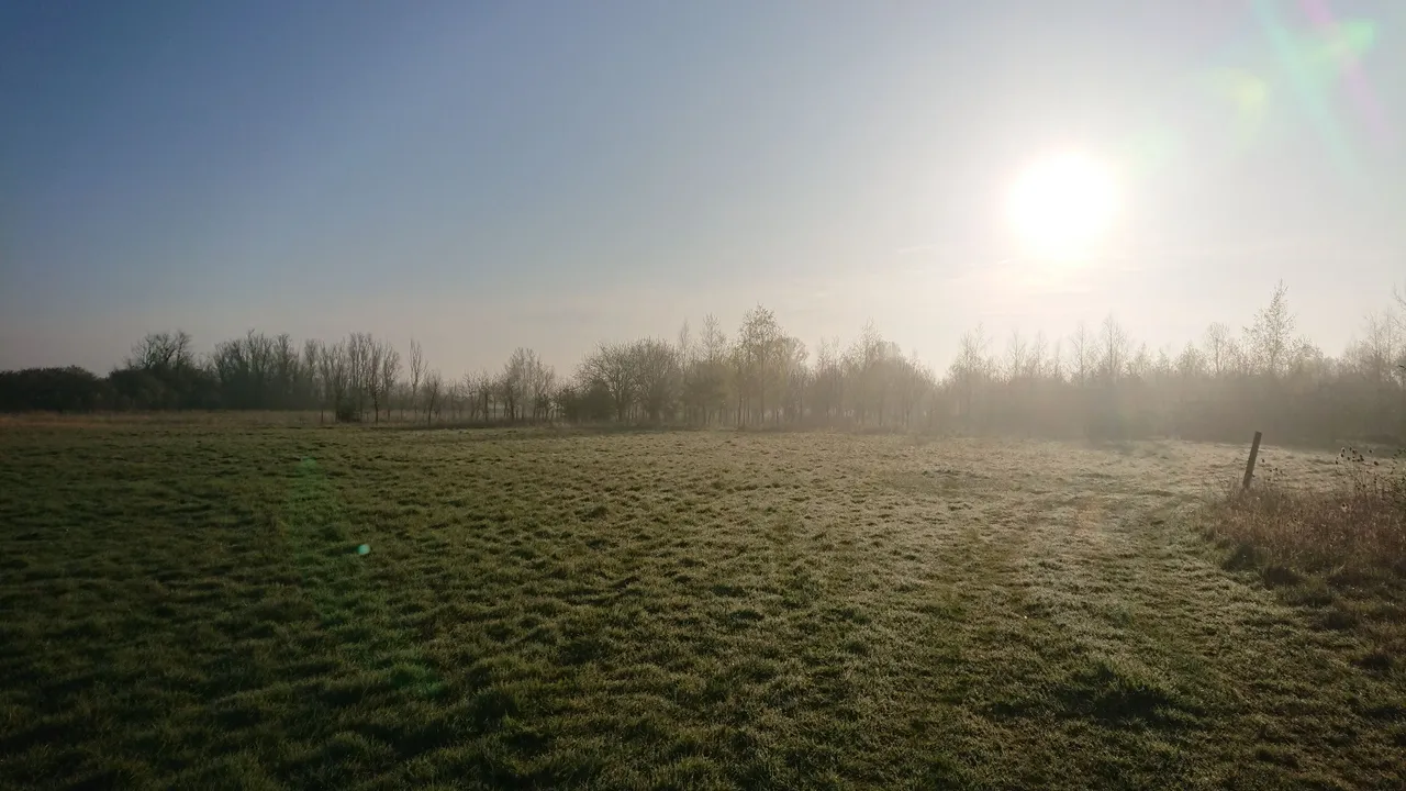 DSC_0130.JPG