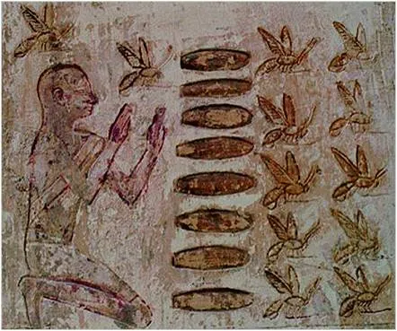 Beekeepingaegypt.jpg