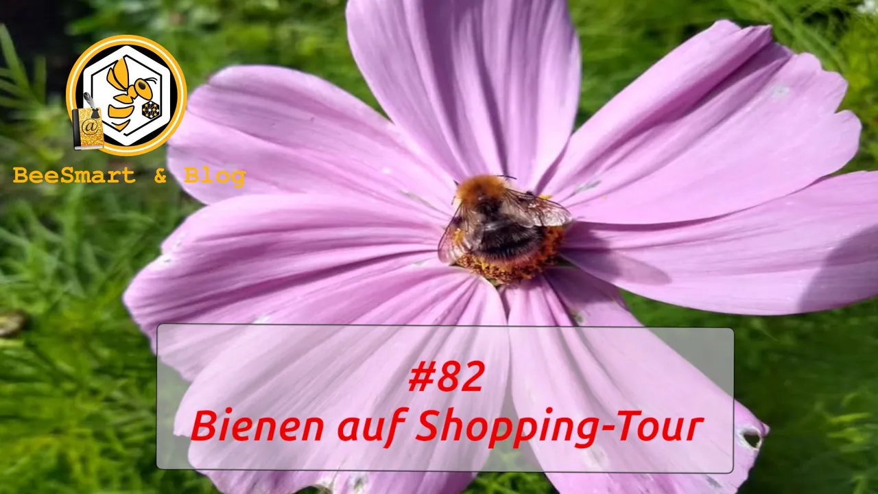 BienenShoppingTour-Titelbild.jpg