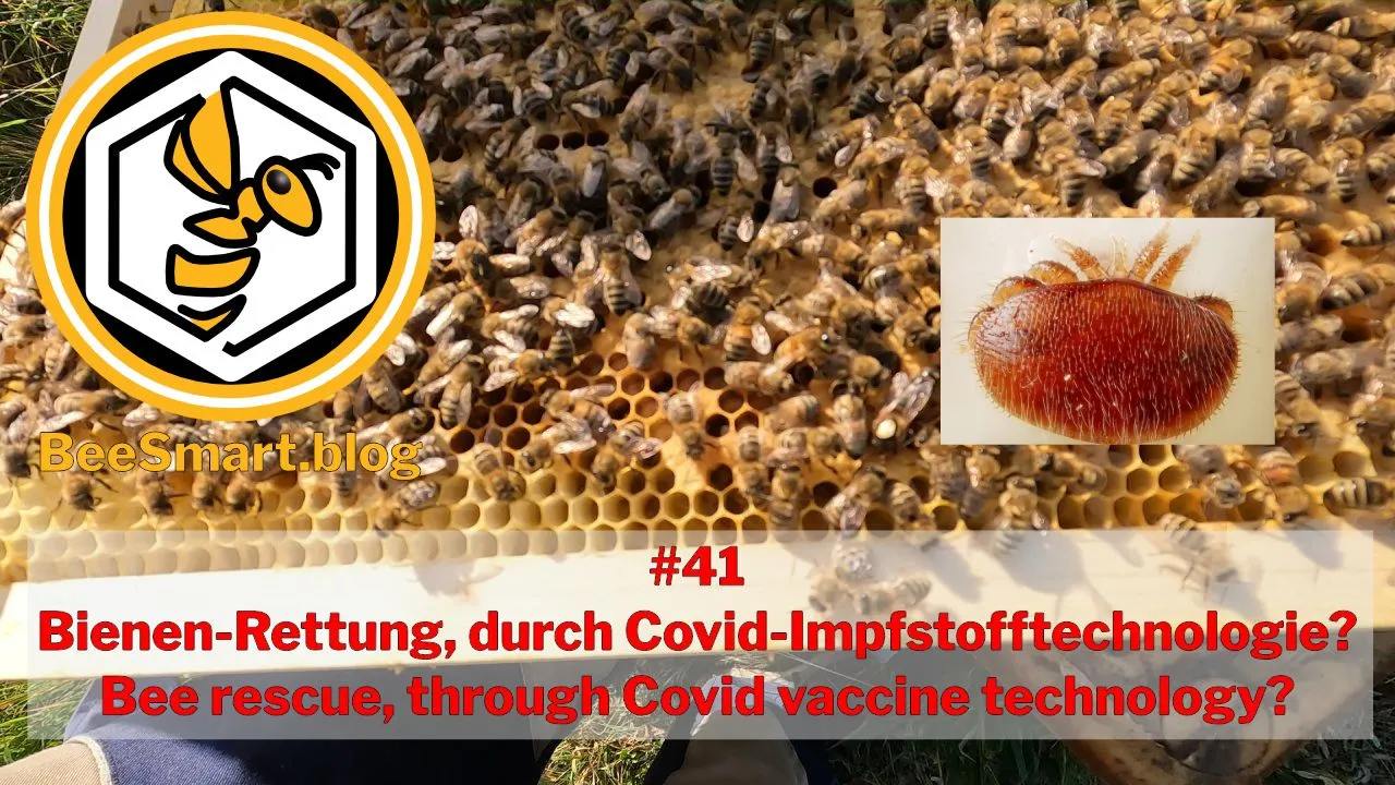 041RNA-Basis-Varroa-Mittel-Titelbild1.jpg