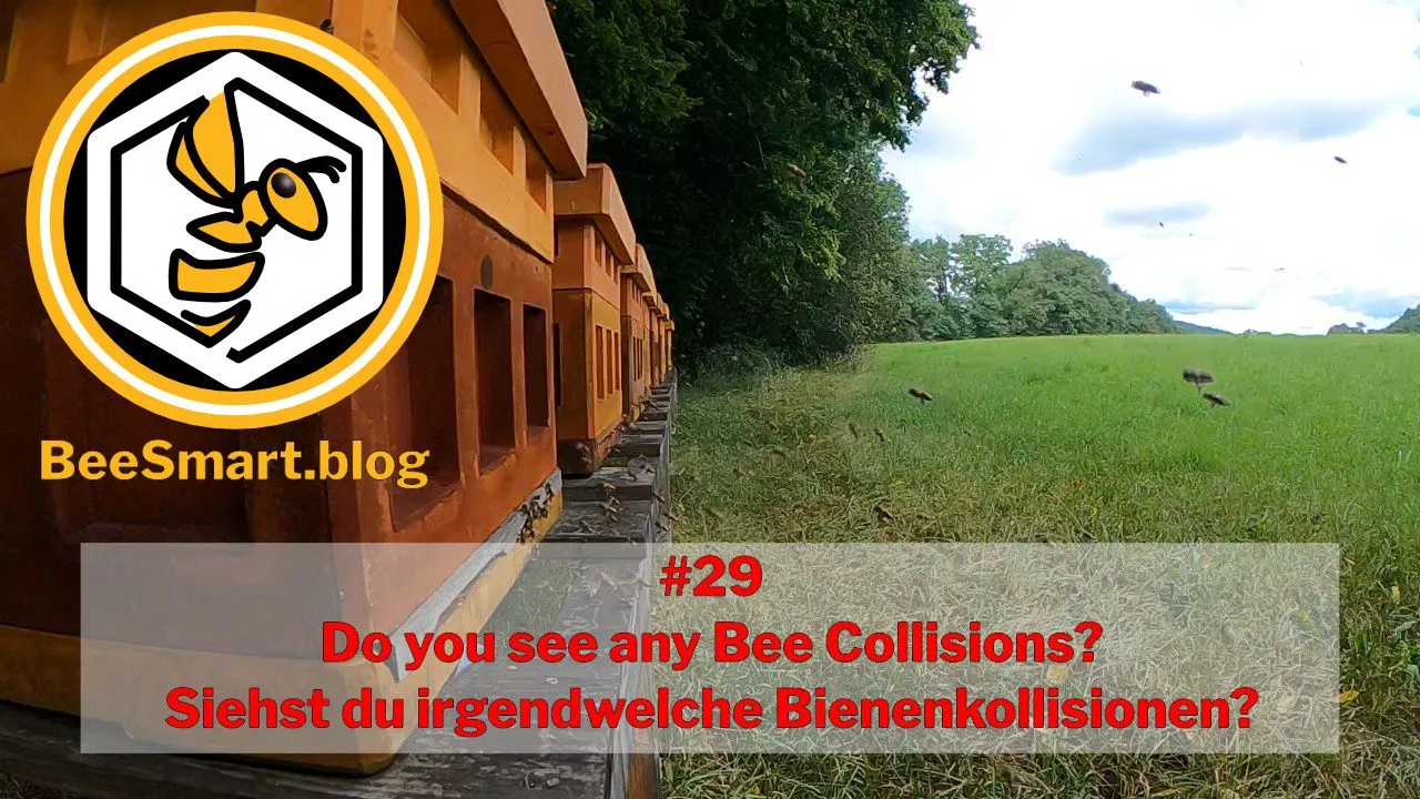 029Collisions-Titelbild1.jpg