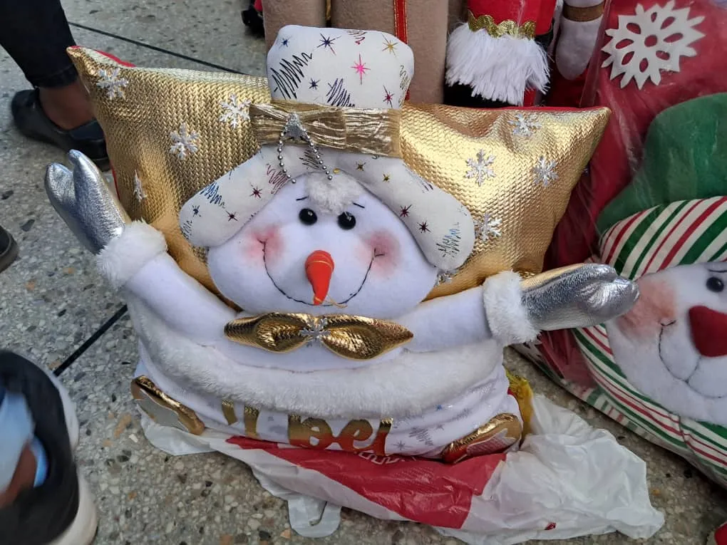 cojín (2).jpeg