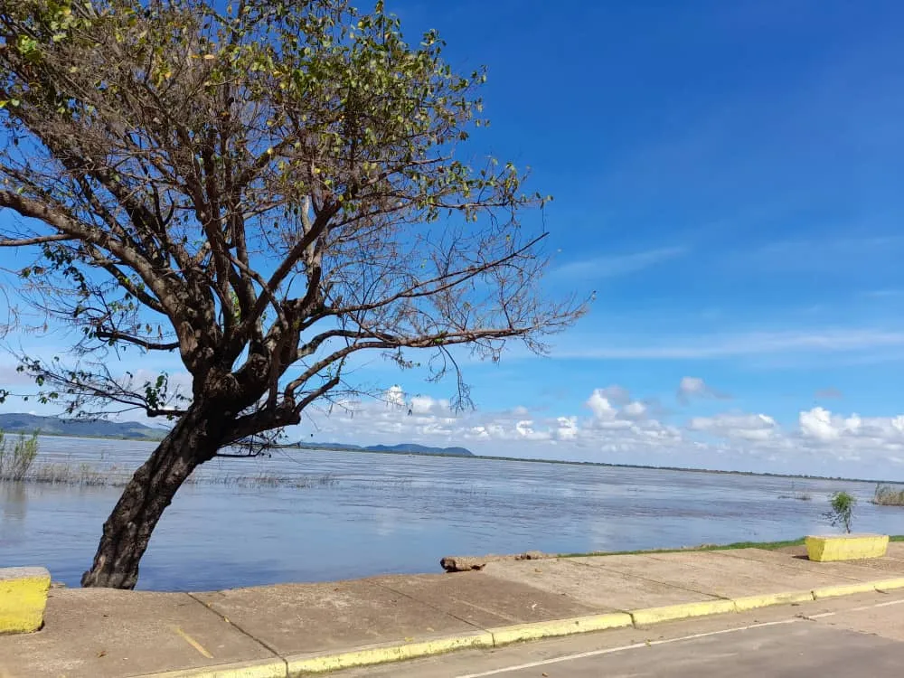 Río Orinoco (5).jpeg