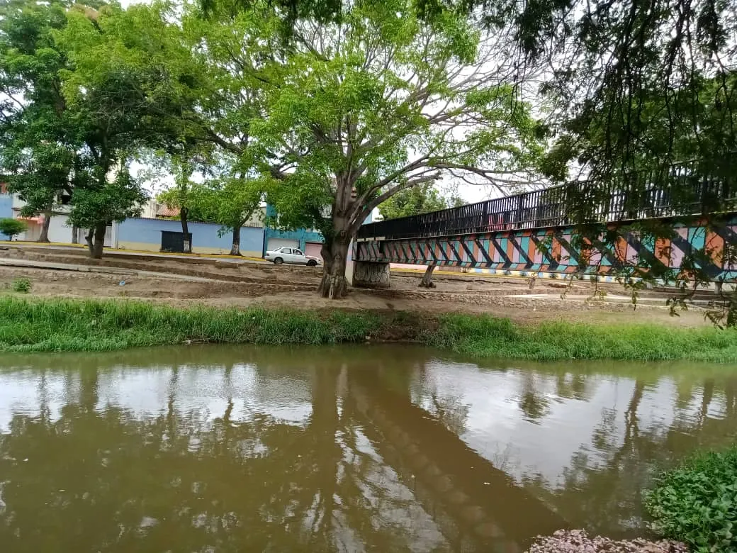parque puentes (5).jpeg