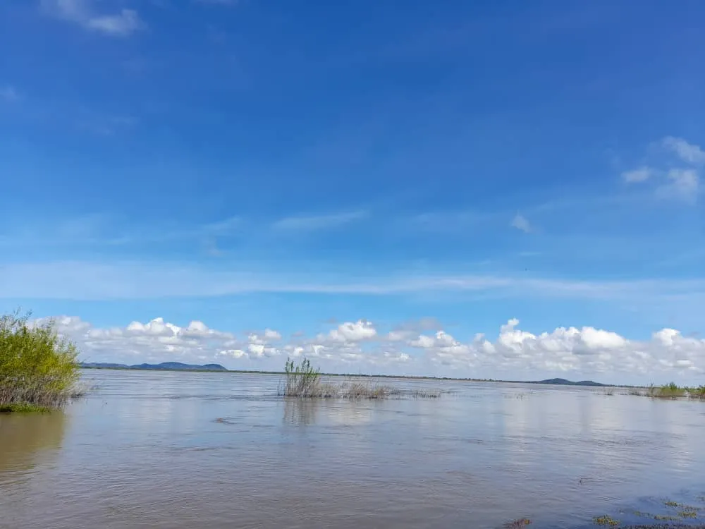 Río Orinoco (15).jpeg