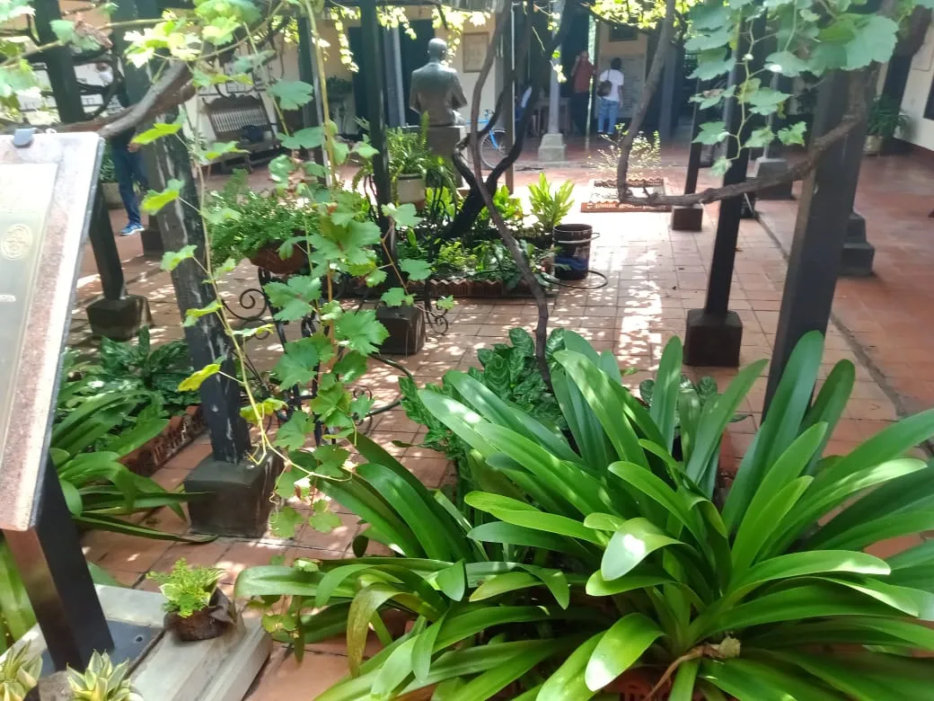 casa andres eloy (14).jpeg