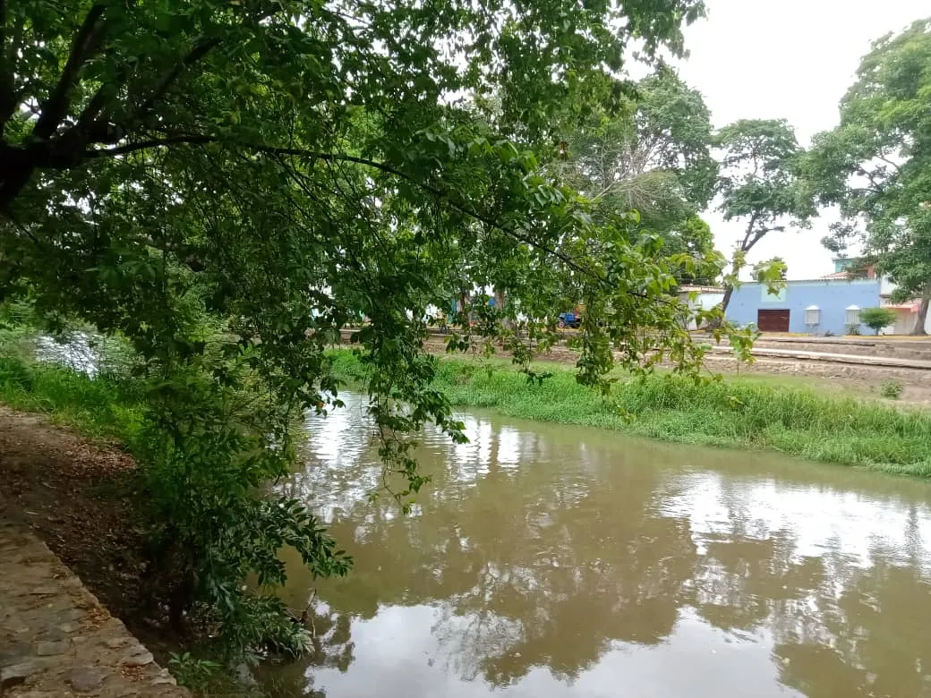 parque (5).jpeg