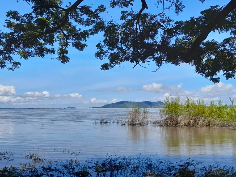 Río Orinoco (21).jpeg