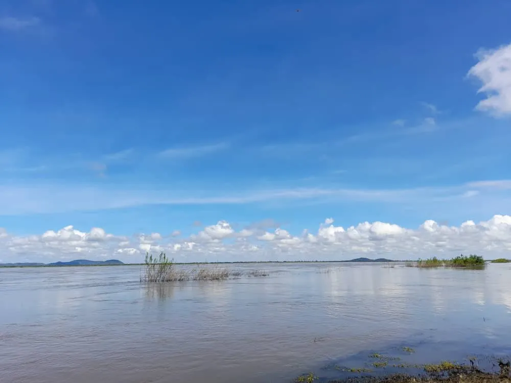 Río Orinoco (16).jpeg