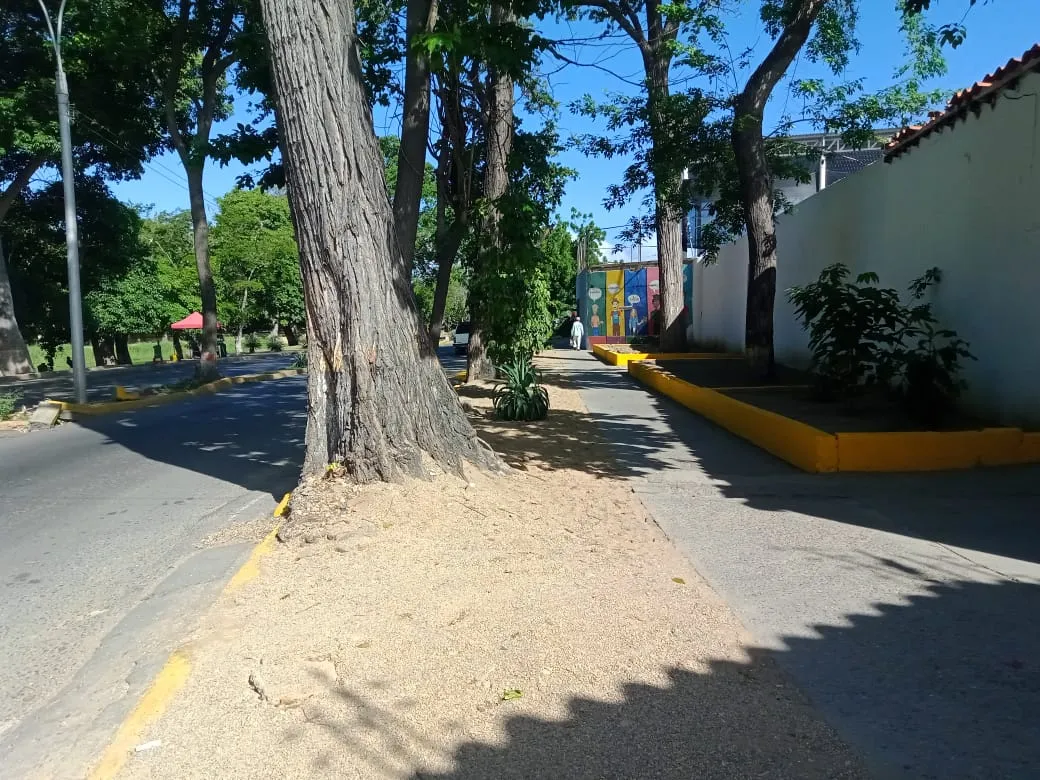 la purpurina (34).jpeg