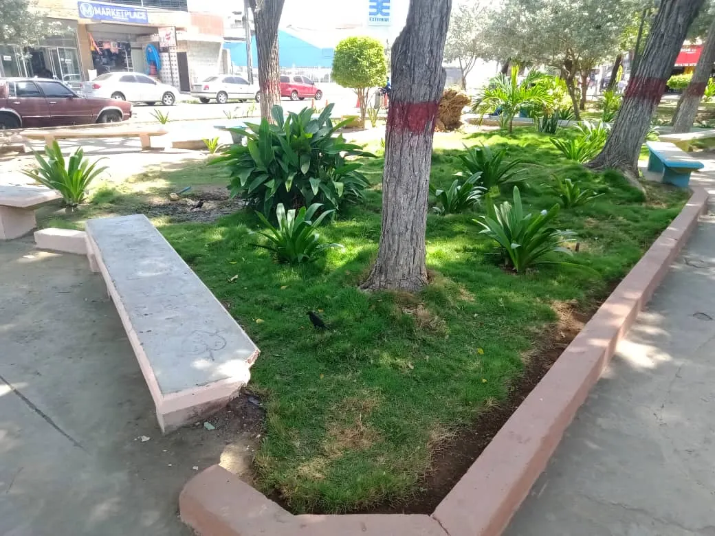 plaza (18).jpeg