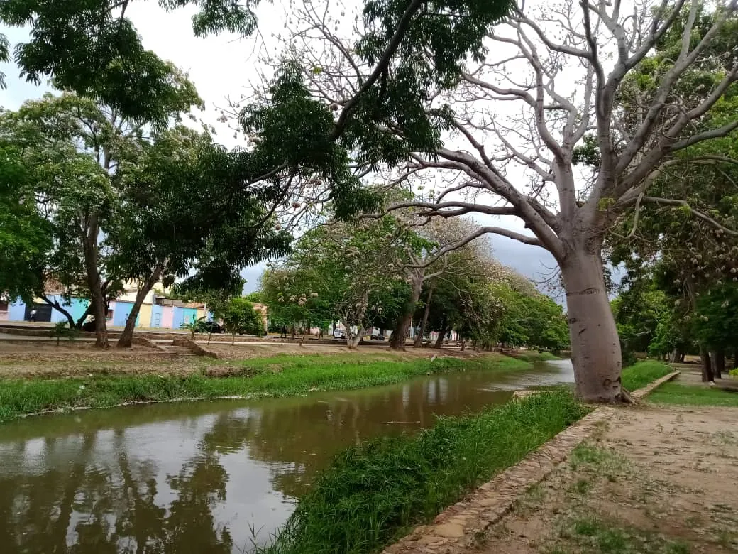 parque (1).jpeg
