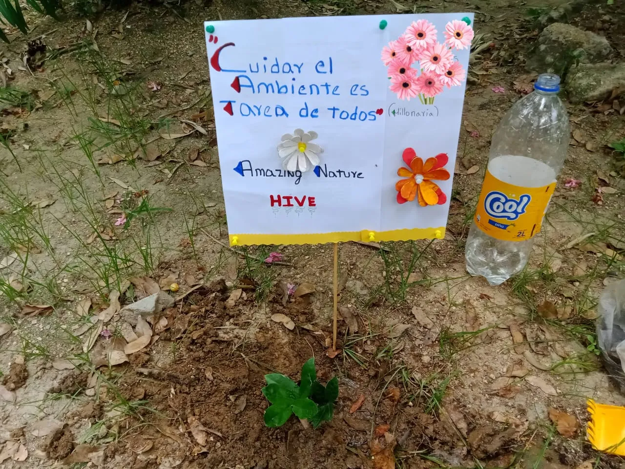 plant a tree (7).jpeg