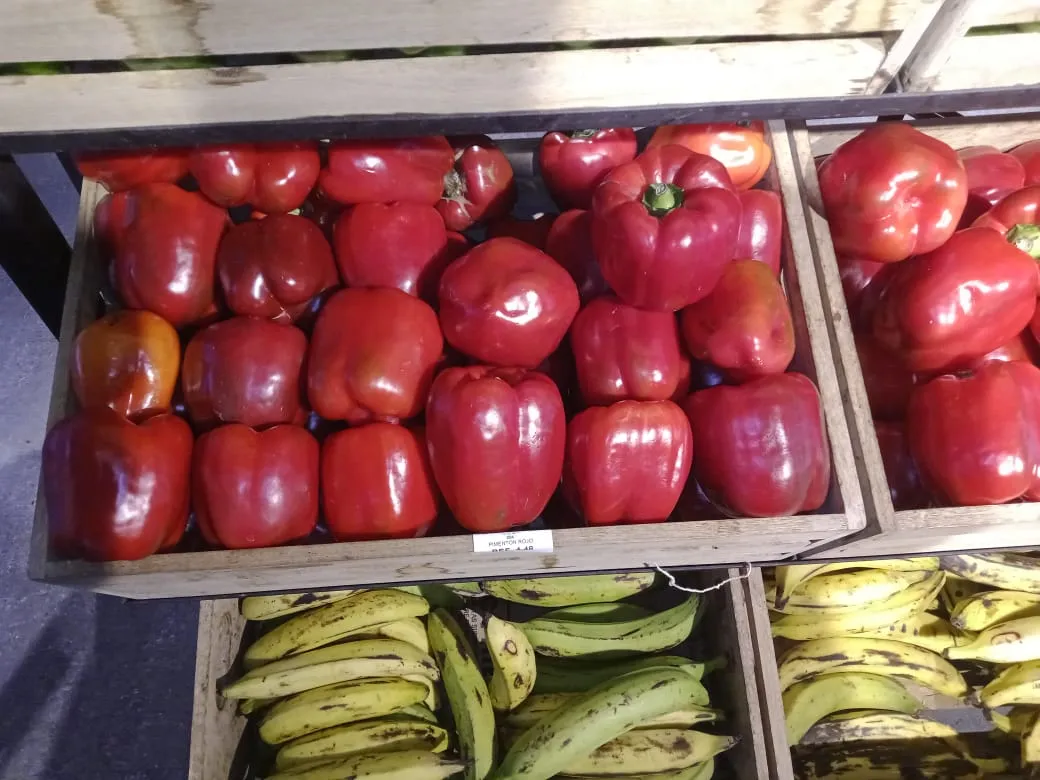 SHOPING VEGANO (22).jpeg